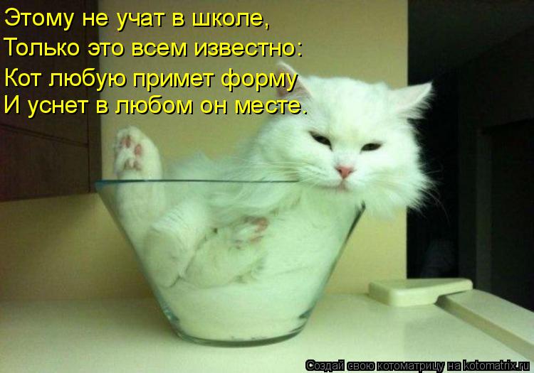 Этому не учат в школе, Только это всем известно: Кот любую примет форму И уснет в любом он месте.... Котоматрица: Этому не учат в школе, Только это всем известно: Кот любую примет форму И уснет в любом он месте.