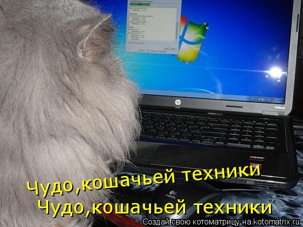 Чудо,кошачьей техники Чудо,кошачьей техники... Котоматрица: Чудо,кошачьей техники Чудо,кошачьей техники