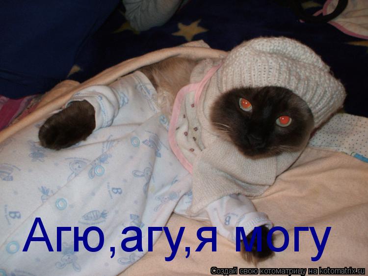 Агю,агу,я могу... Котоматрица: Агю,агу,я могу