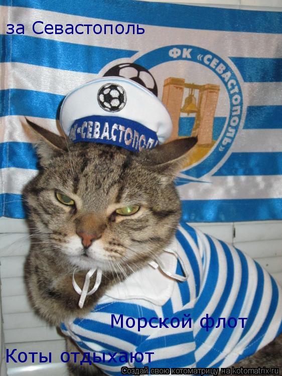 за Севастополь Морской флот Коты отдыхают... Котоматрица: за Севастополь Морской флот Коты отдыхают
