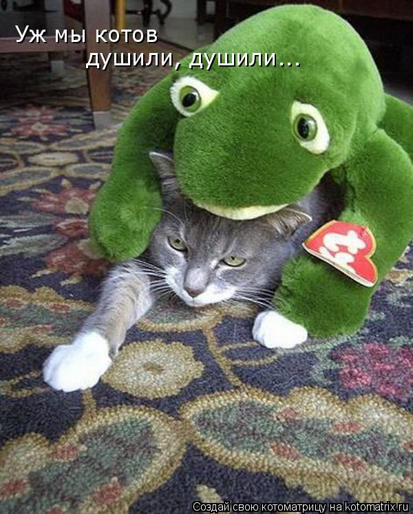 Уж мы котов душили, душили...... Котоматрица: Уж мы котов душили, душили...