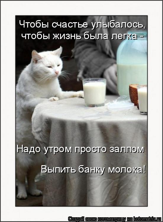 Надо утром просто залпом Выпить банку молока! Чтобы счастье улыбалось, чтобы жизнь была легка -... Котоматрица: Надо утром просто залпом Выпить банку молока! Чтобы счастье улыбалось, чтобы жизнь была легка -