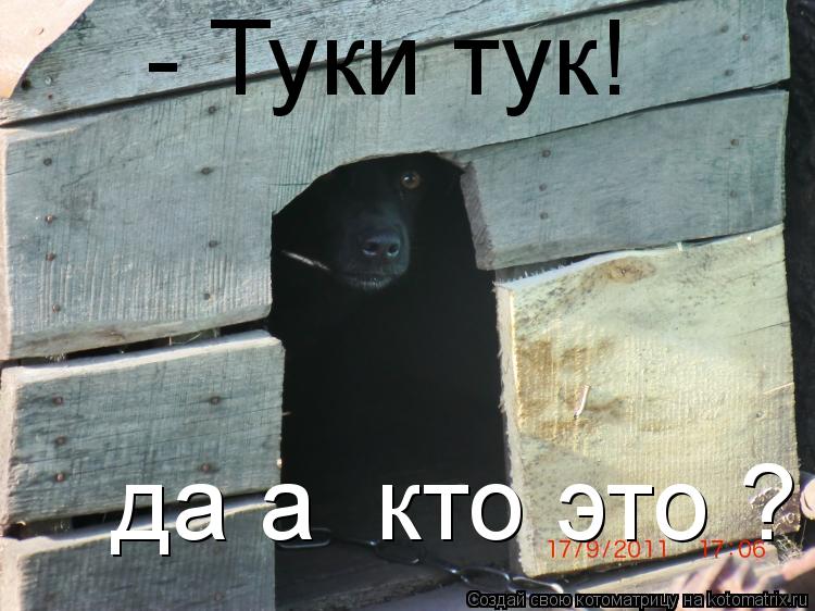 - Туки тук! да а кто это ?... Котоматрица: - Туки тук! да а кто это ?