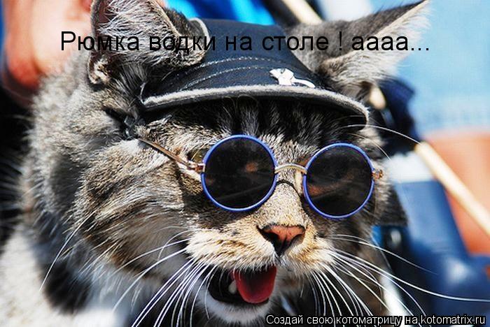 Рюмка водки на столе ! аааа...... Котоматрица: Рюмка водки на столе ! аааа...