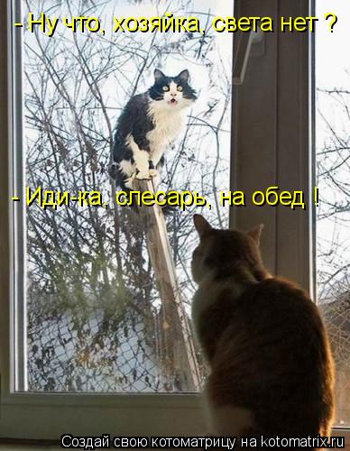 - Ну что, хозяйка, света нет ? - Иди-ка, слесарь, на обед !... Котоматрица: - Ну что, хозяйка, света нет ? - Иди-ка, слесарь, на обед !