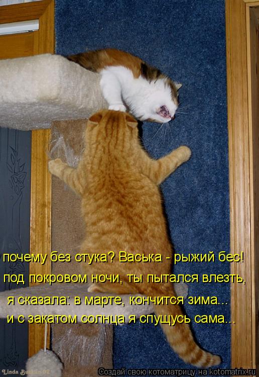 под покровом ночи, ты пытался влезть, я сказала: в марте, кончится зима... почему без стука? Васька -... Котоматрица: под покровом ночи, ты пытался влезть, я сказала: в марте, кончится зима... почему без стука? Васька - рыжий бес! и с закатом солнца я спущусь сам