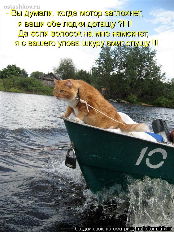 - Вы думали, когда мотор заглохнет, я ваши обе лодки дотащу ?!!!! Да если волосок на мне намокнет, я ... Котоматрица: - Вы думали, когда мотор заглохнет, я ваши обе лодки дотащу ?!!!! Да если волосок на мне намокнет, я с вашего улова шкуру вмиг спущу !!!