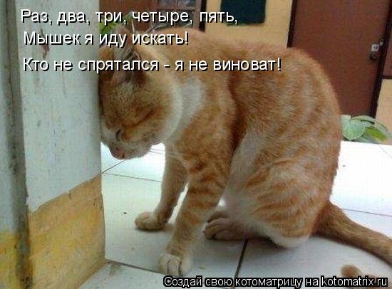 Раз, два, три, четыре, пять, Мышек я иду искать! Кто не спрятался - я не виноват!... Котоматрица: Раз, два, три, четыре, пять, Мышек я иду искать! Кто не спрятался - я не виноват!