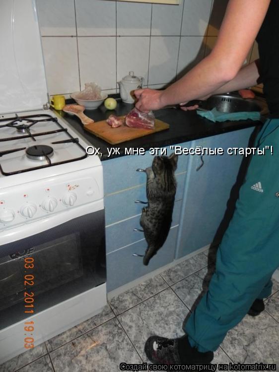 Ох, уж мне эти "Весёлые старты"!... Котоматрица: Ох, уж мне эти "Весёлые старты"!
