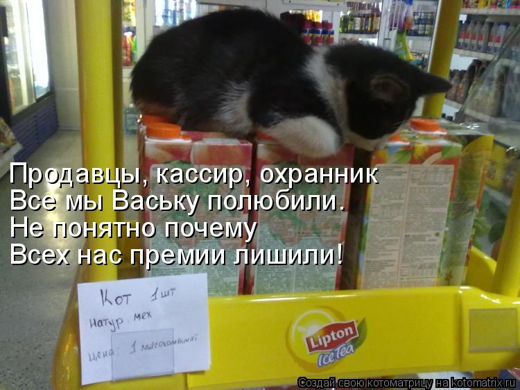 Продавцы, кассир, охранник Все мы Ваську полюбили. Не понятно почему Всех нас премии лишили!... Котоматрица: Продавцы, кассир, охранник Все мы Ваську полюбили. Не понятно почему Всех нас премии лишили!