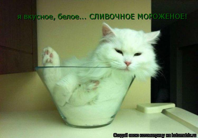 я вкусное, белое... СЛИВОЧНОЕ МОРОЖЕНОЕ!... Котоматрица: я вкусное, белое... СЛИВОЧНОЕ МОРОЖЕНОЕ!