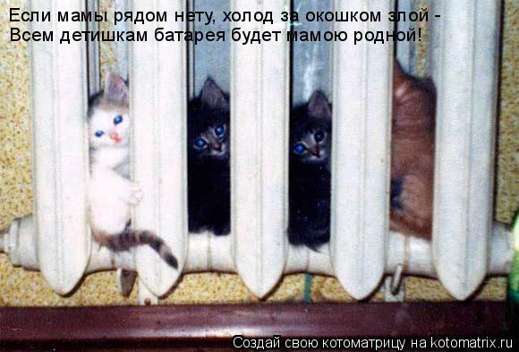 Если мамы рядом нету, холод за окошком злой - Всем детишкам батарея будет мамою родной!... Котоматрица: Если мамы рядом нету, холод за окошком злой - Всем детишкам батарея будет мамою родной!