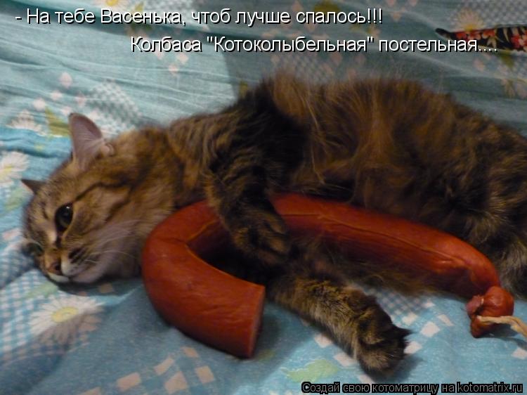 - На тебе Васенька, чтоб лучше спалось!!! Колбаса "Котоколыбельная" постельная....... Котоматрица: - На тебе Васенька, чтоб лучше спалось!!! Колбаса "Котоколыбельная" постельная....