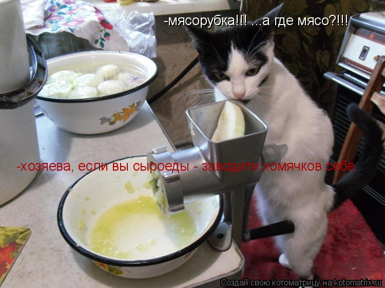 -мясорубка!!! ...а где мясо?!!! -хозяева, если вы сыроеды - заводите хомячков себе.... Котоматрица: -мясорубка!!! ...а где мясо?!!! -хозяева, если вы сыроеды - заводите хомячков себе.