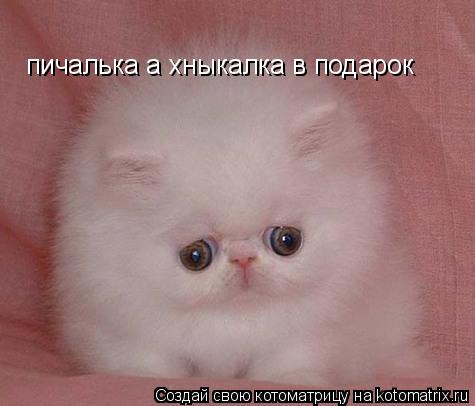 пичалька а хныкалка в подарок... Котоматрица: пичалька а хныкалка в подарок