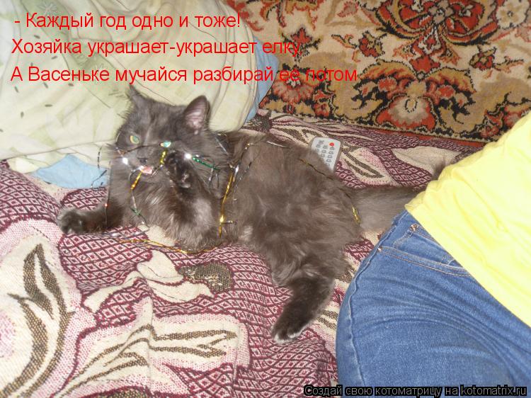 - Каждый год одно и тоже! Хозяйка украшает-украшает елку, А Васеньке мучайся разбирай ее потом... Котоматрица: - Каждый год одно и тоже! Хозяйка украшает-украшает елку, А Васеньке мучайся разбирай ее потом