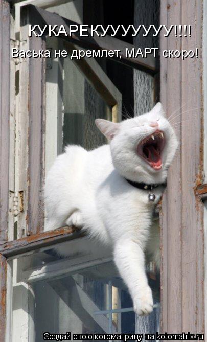 КУКАРЕКУУУУУУУ!!!! Васька не дремлет, МАРТ скоро!... Котоматрица: КУКАРЕКУУУУУУУ!!!! Васька не дремлет, МАРТ скоро!