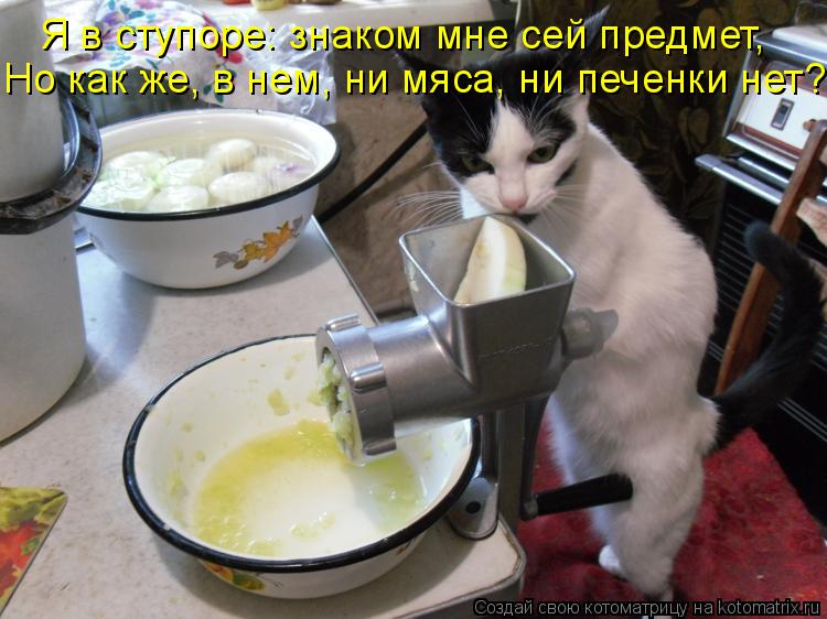 Я в ступоре: знаком мне сей предмет, Но как же, в нем, ни мяса, ни печенки нет?!... Котоматрица: Я в ступоре: знаком мне сей предмет, Но как же, в нем, ни мяса, ни печенки нет?!