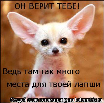 ОН ВЕРИТ ТЕБЕ! Ведь там так много места для твоей лапши... Котоматрица: ОН ВЕРИТ ТЕБЕ! Ведь там так много места для твоей лапши