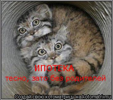 ИПОТЕКА тесно, зато без родителей... Котоматрица: ИПОТЕКА тесно, зато без родителей