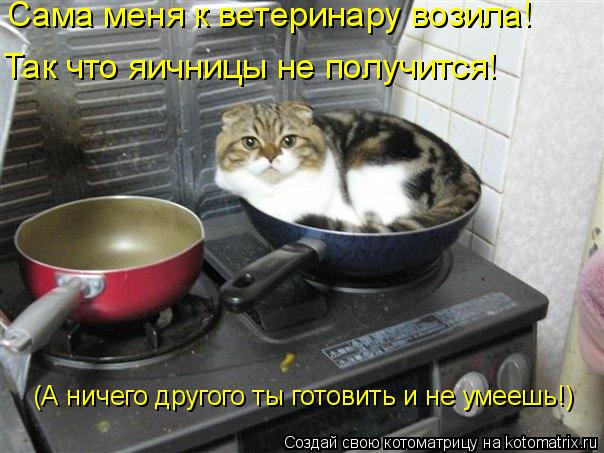 Сама меня к ветеринару возила! Так что яичницы не получится! (А ничего другого ты готовить и не умее... Котоматрица: Сама меня к ветеринару возила! Так что яичницы не получится! (А ничего другого ты готовить и не умеешь!)
