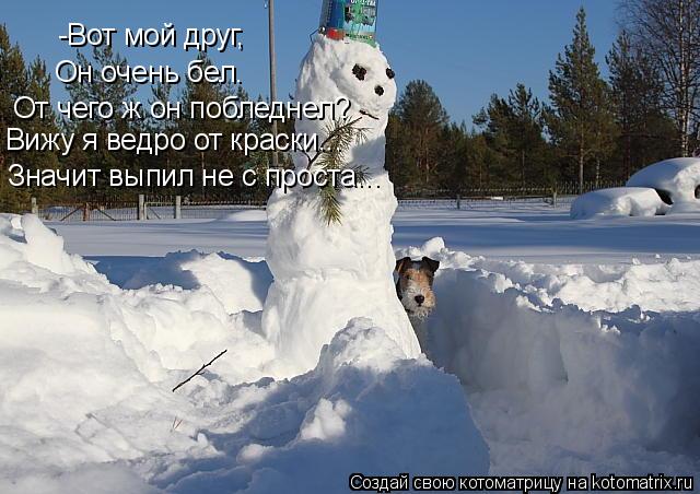Котоматрица: -Вот мой друг, Он очень бел. От чего ж он побледнел? Вижу я ведро от краски... Значит выпил не с проста...