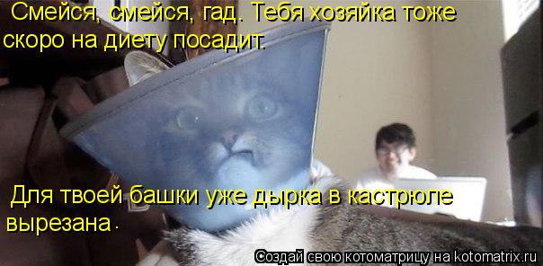 Смейся, смейся, гад. Тебя хозяйка тоже скоро на диету посадит. Для твоей башки уже дырка в кастрюле ... Котоматрица: Смейся, смейся, гад. Тебя хозяйка тоже скоро на диету посадит. Для твоей башки уже дырка в кастрюле вырезана .