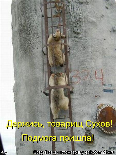 Держись, товарищ Сухов! Подмога пришла!... Котоматрица: Держись, товарищ Сухов! Подмога пришла!