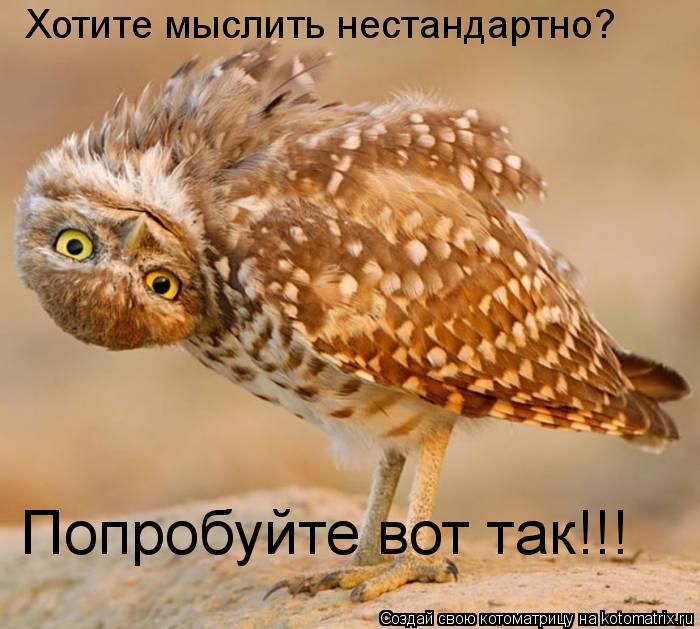 Хотите мыслить нестандартно? Попробуйте вот так!!!... Котоматрица: Хотите мыслить нестандартно? Попробуйте вот так!!!