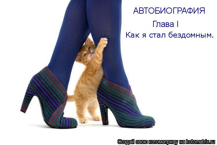АВТОБИОГРАФИЯ Глава I Как я стал бездомным.... Котоматрица: АВТОБИОГРАФИЯ Глава I Как я стал бездомным.