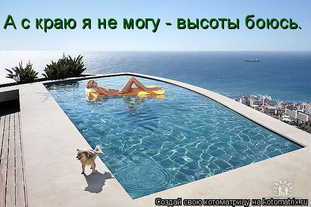 А с краю я не могу - высоты боюсь.... Котоматрица: А с краю я не могу - высоты боюсь.