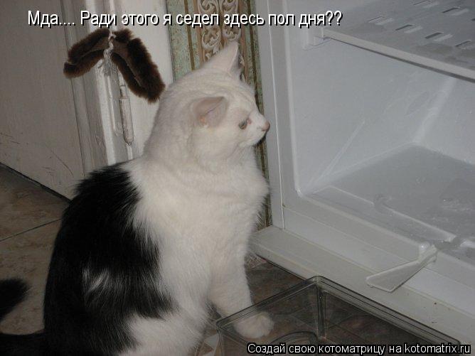 Мда.... Ради этого я седел здесь пол дня??... Котоматрица: Мда.... Ради этого я седел здесь пол дня??