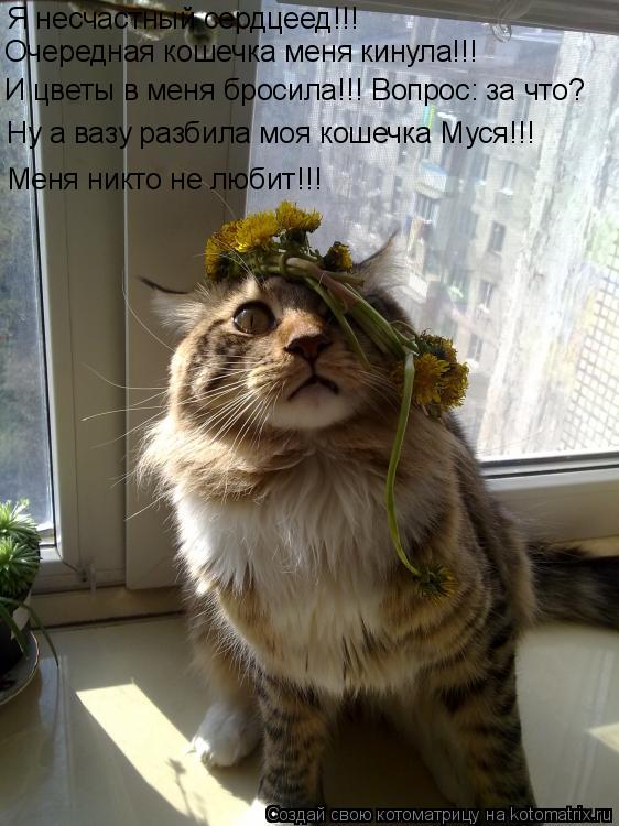 Я несчастный сердцеед!!! Очередная кошечка меня кинула!!! И цветы в меня бросила!!! Вопрос: за что? Н... Котоматрица: Я несчастный сердцеед!!! Очередная кошечка меня кинула!!! И цветы в меня бросила!!! Вопрос: за что? Ну а вазу разбила моя кошечка Муся!!! Меня ник