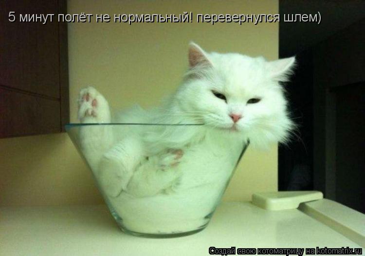 5 минут полёт не нормальный! перевернулся шлем)... Котоматрица: 5 минут полёт не нормальный! перевернулся шлем)