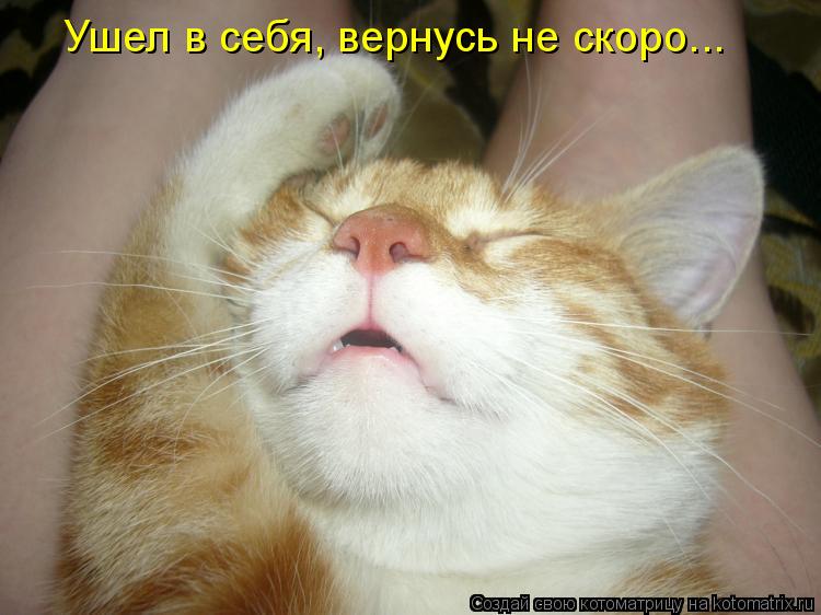 Ушел в себя, вернусь не скоро...... Котоматрица: Ушел в себя, вернусь не скоро...