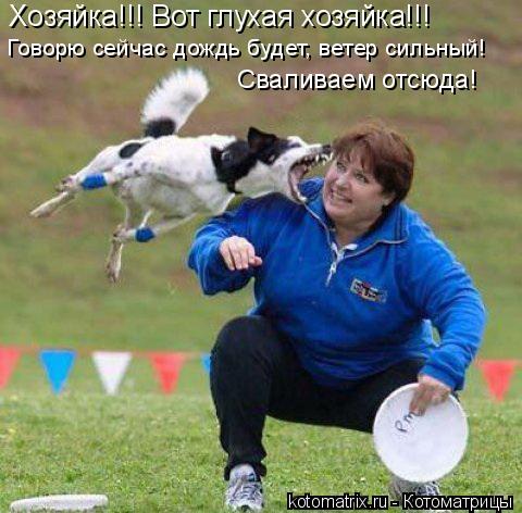 Хозяйка!!! Вот глухая хозяйка!!! Говорю сейчас дождь будет, ветер сильный! Сваливаем отсюда!... Котоматрица: Хозяйка!!! Вот глухая хозяйка!!! Говорю сейчас дождь будет, ветер сильный! Сваливаем отсюда!