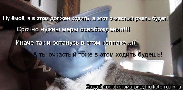 Ну ёмоё, я в этом должен ходить, а этот очкастый ржать будет! Срочно нужны меры освобождения!!! Иначе... Котоматрица: Ну ёмоё, я в этом должен ходить, а этот очкастый ржать будет! Срочно нужны меры освобождения!!! Иначе так и останусь в этом колпаке...(( Иначе та