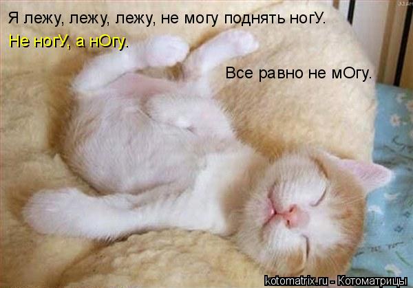 Не ногУ, а нОгу. Все равно не мОгу. Я лежу, лежу, лежу, не могу поднять ногУ.... Котоматрица: Не ногУ, а нОгу. Все равно не мОгу. Я лежу, лежу, лежу, не могу поднять ногУ.