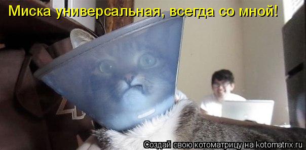 Миска универсальная, всегда со мной!... Котоматрица: Миска универсальная, всегда со мной!