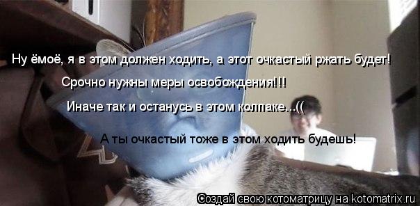 Ну ёмоё, я в этом должен ходить, а этот очкастый ржать будет! Срочно нужны меры освобождения!!! Иначе... Котоматрица: Ну ёмоё, я в этом должен ходить, а этот очкастый ржать будет! Срочно нужны меры освобождения!!! Иначе так и останусь в этом колпаке...(( А ты очк