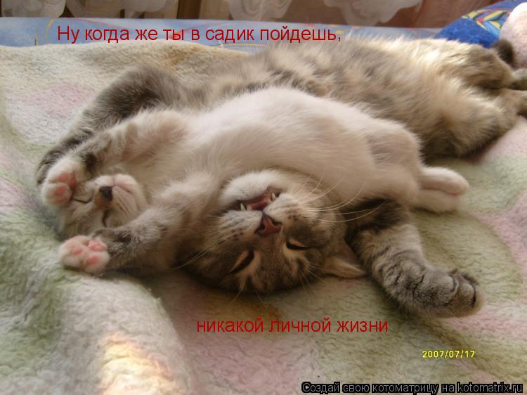 Ну когда же ты в садик пойдешь , никакой личной жизни... Котоматрица: Ну когда же ты в садик пойдешь , никакой личной жизни