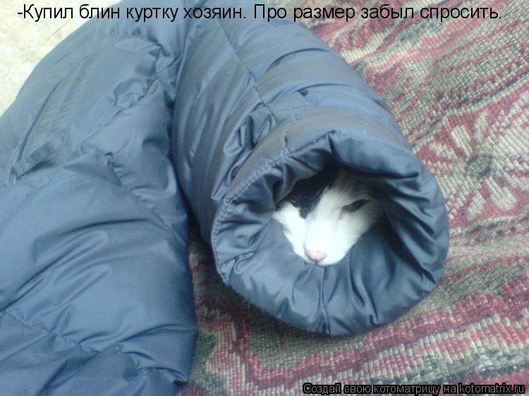 -Купил блин куртку хозяин. Про размер забыл спросить.... Котоматрица: -Купил блин куртку хозяин. Про размер забыл спросить.