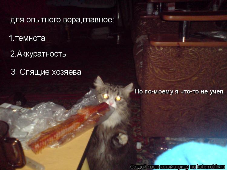для опытного вора,главное: 1.темнота Но по-моему я что-то не учел 3. Спящие хозяева 2.Аккуратность... Котоматрица: для опытного вора,главное: 1.темнота Но по-моему я что-то не учел 3. Спящие хозяева 2.Аккуратность