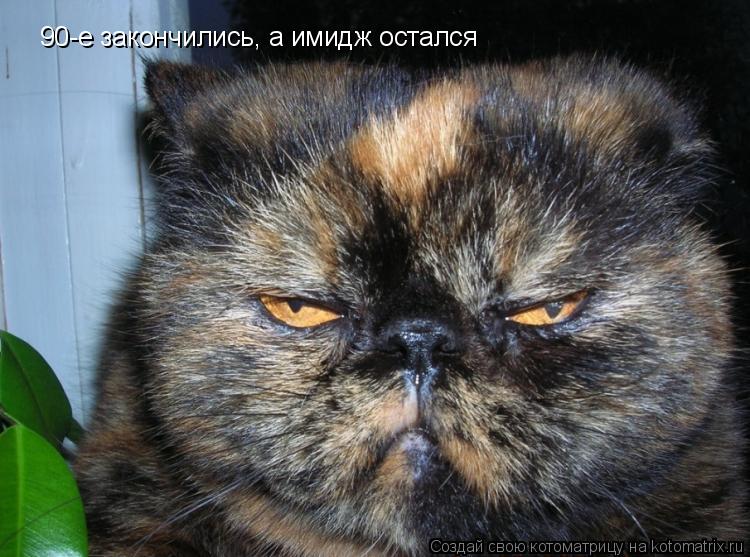 90-е закончились, а имидж остался... Котоматрица: 90-е закончились, а имидж остался