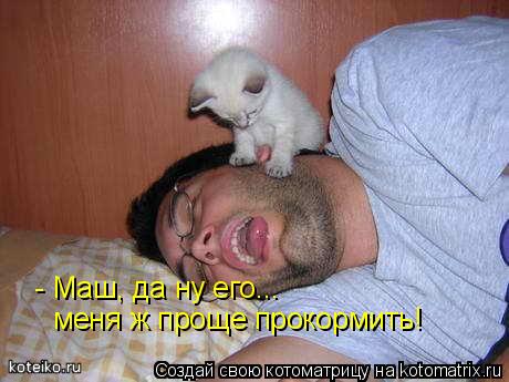 Котоматрица: - Маш, да ну его... меня ж проще прокормить!