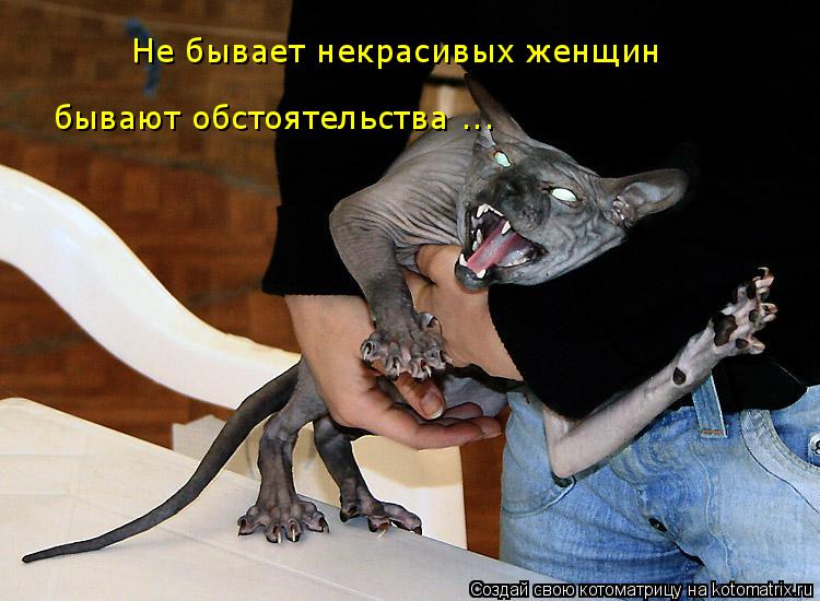 Котоматрица: Не бывает некрасивых женщин бывают обстоятельства ...