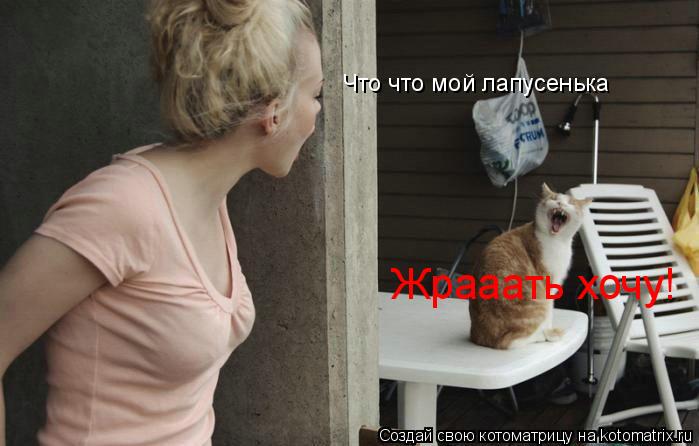 Что что мой лапусенька Жрааать хочу!... Котоматрица: Что что мой лапусенька Жрааать хочу!