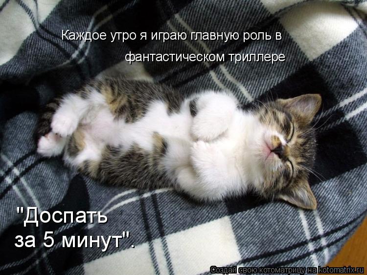 Каждое утро я играю главную роль в фантастическом триллере "Доспать за 5 минут".... Котоматрица: Каждое утро я играю главную роль в фантастическом триллере "Доспать за 5 минут".
