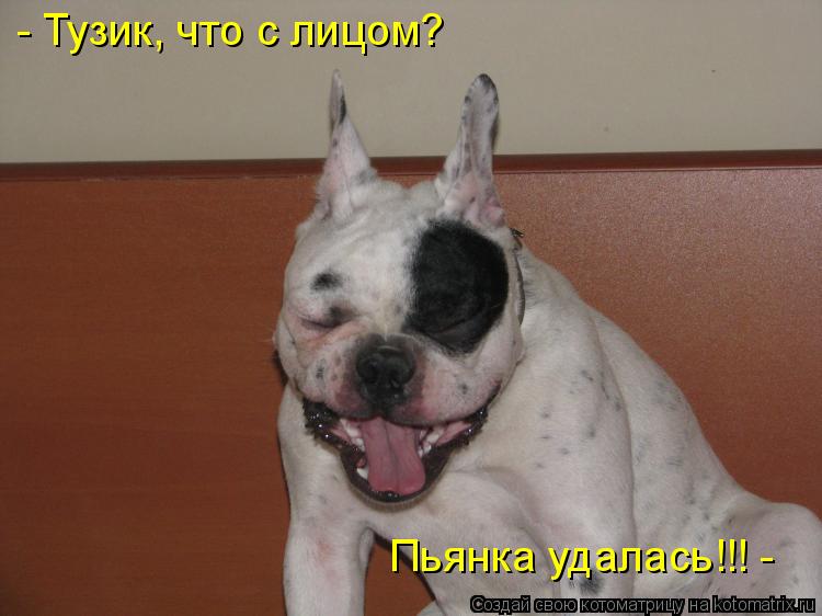 Котоматрица: - Тузик, что с лицом? Пьянка удалась!!! -