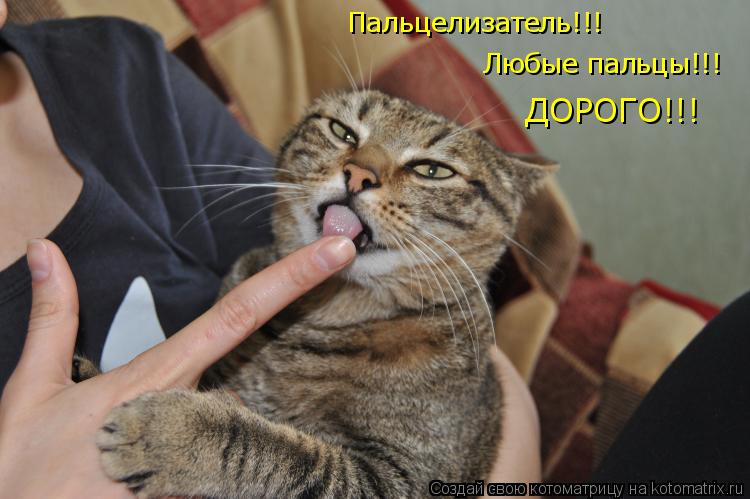 Котоматрица: Пальцелизатель!!!  Любые пальцы!!!  ДОРОГО!!!